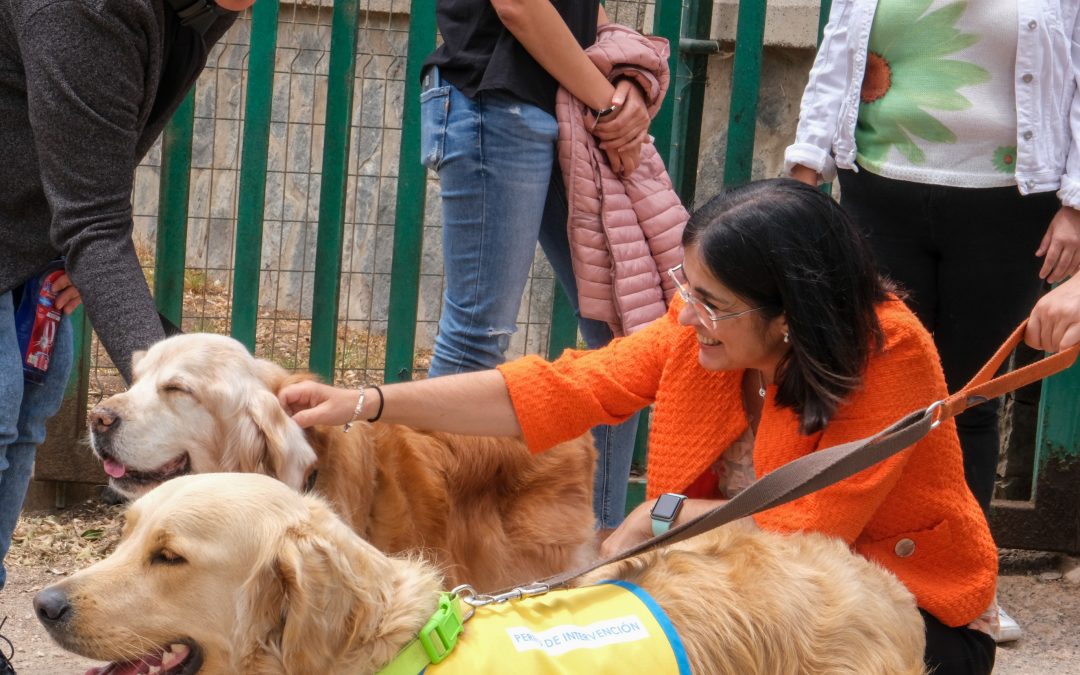 Carolina Darias anuncia un centro municipal de protección animal