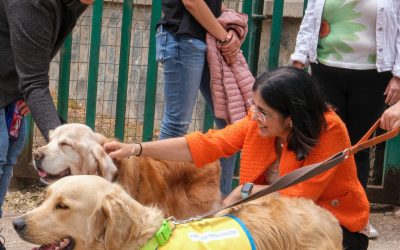 Carolina Darias anuncia un centro municipal de protección animal